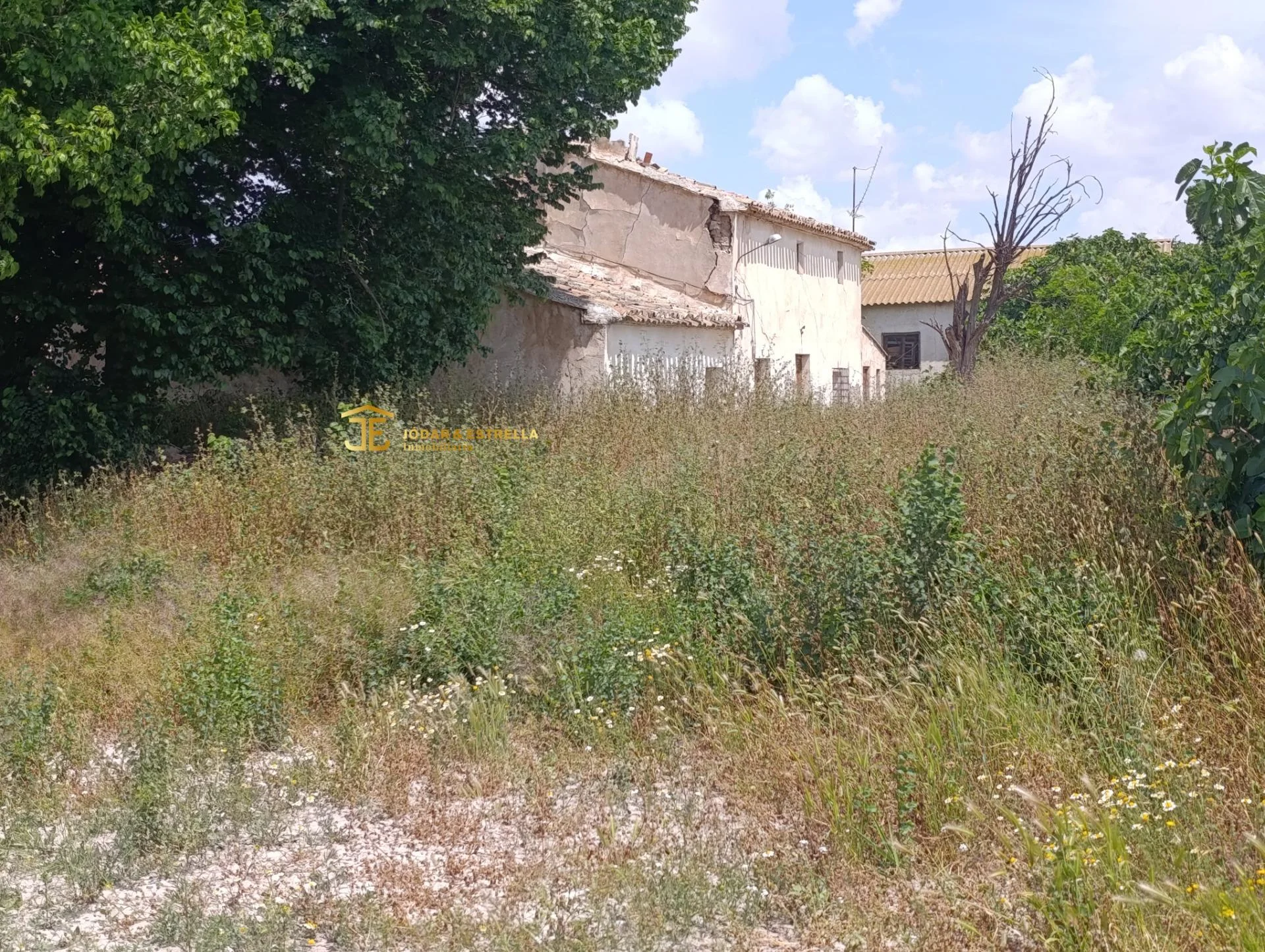 Renovation farmhouse near Lorca, 8,005 m²
