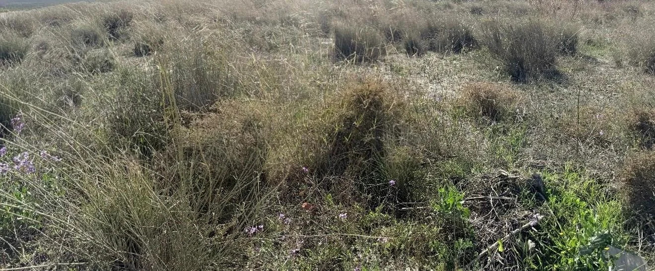 Parcela urbana cerca de Lorca, 1.200 m²