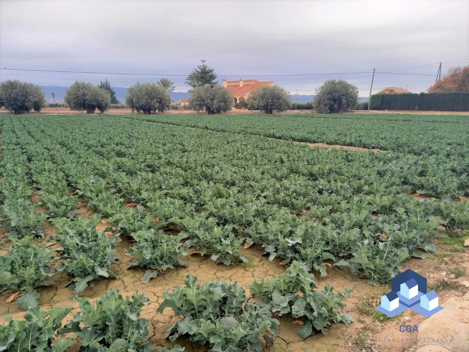 Gran parcela en La Pulgara, 5.000 pies²