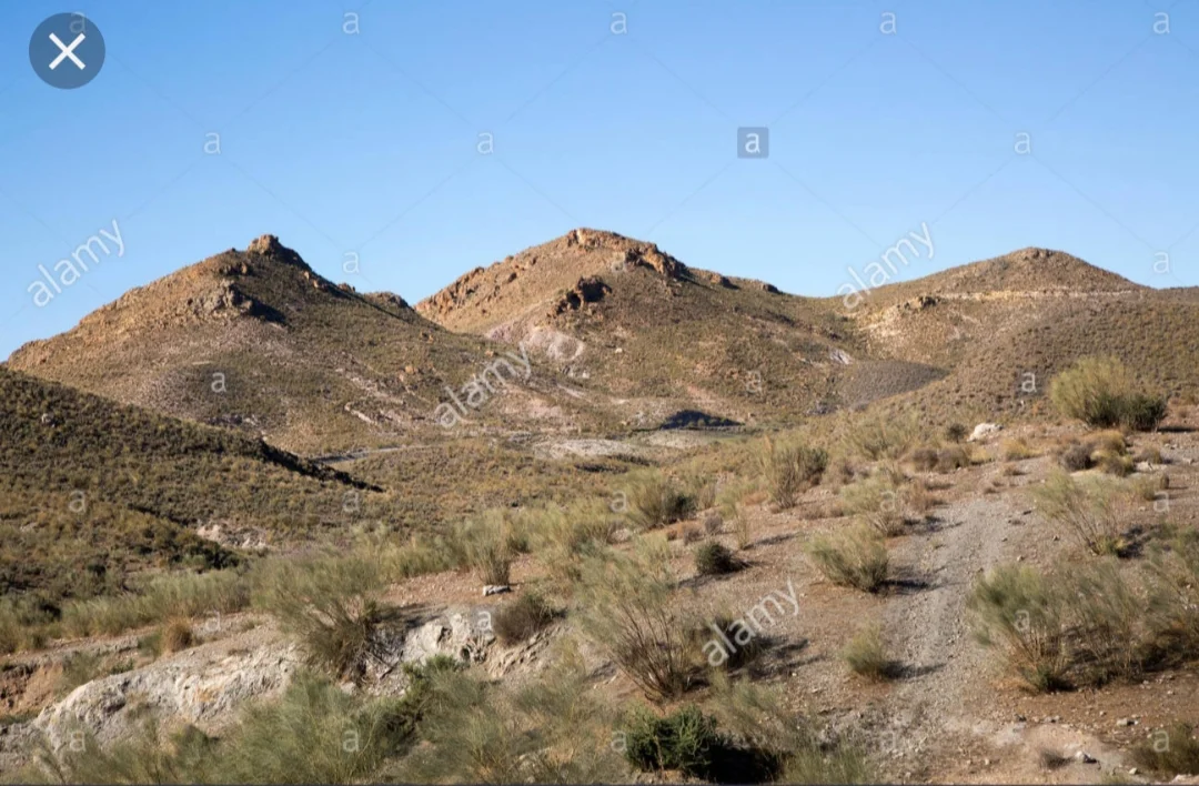 Rural land in Vélez Rubio, 12,490 m²