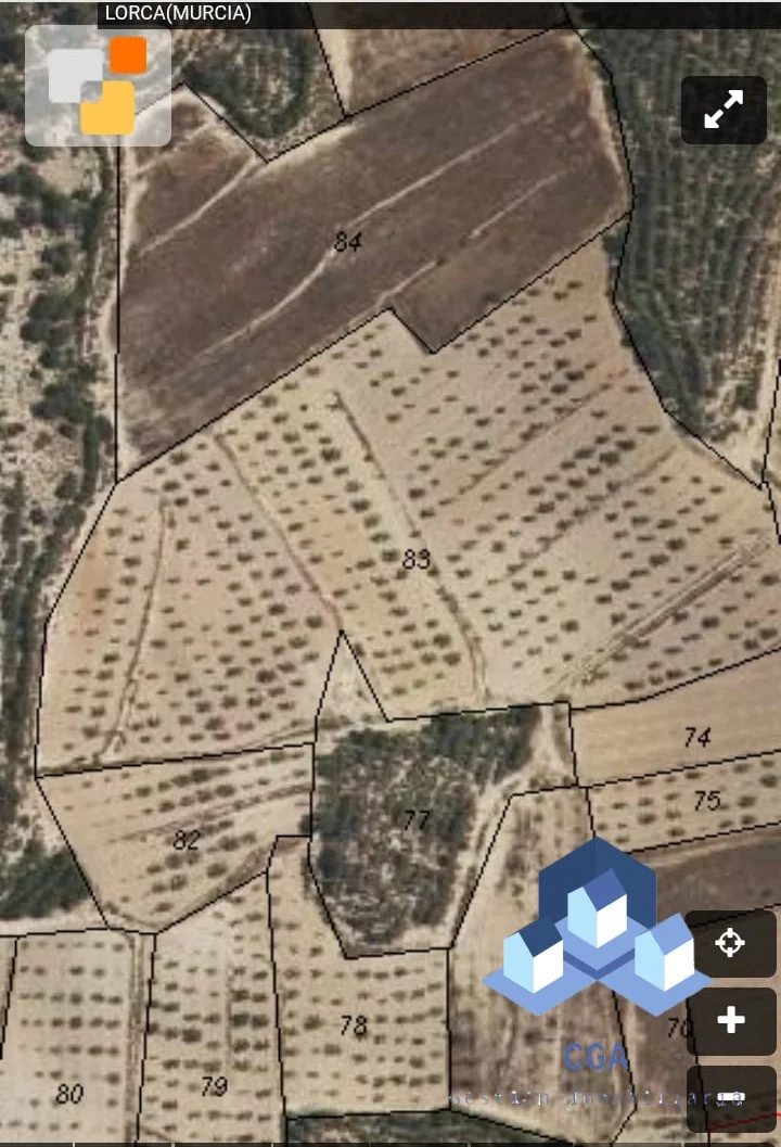 Terreno agrícola en Lorca con oliveras