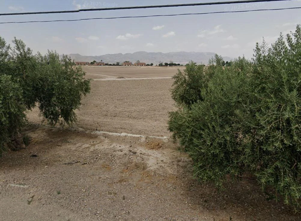 Large Marchena plot for development