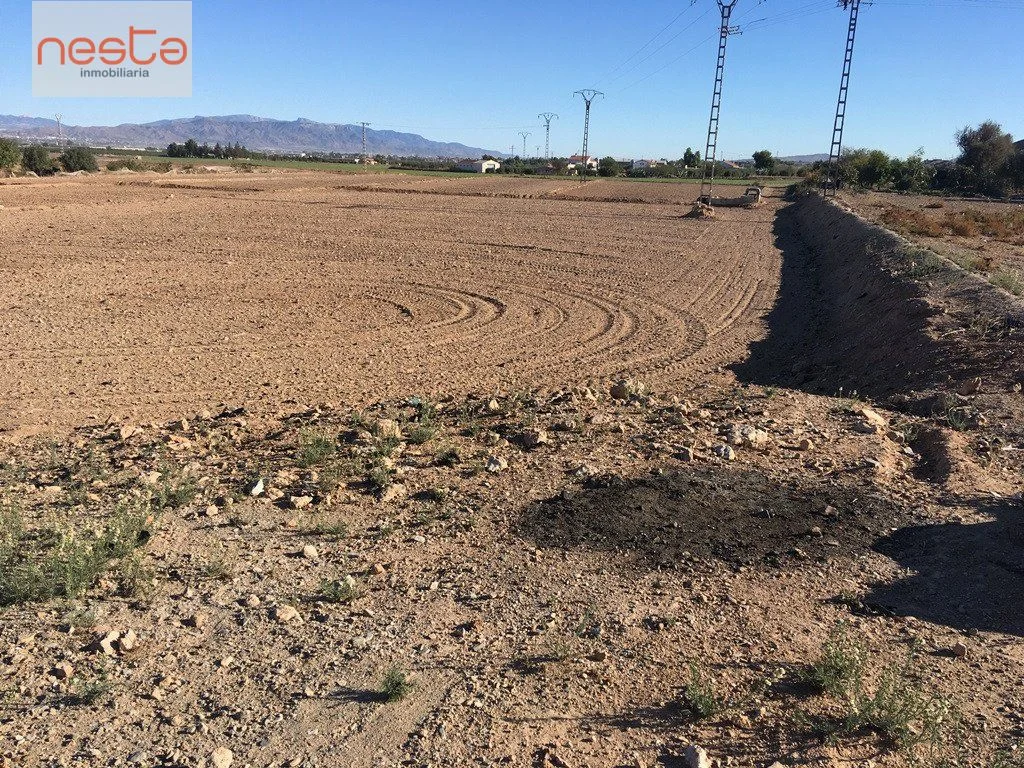 Parcela rural en Purias de 5.000 m²