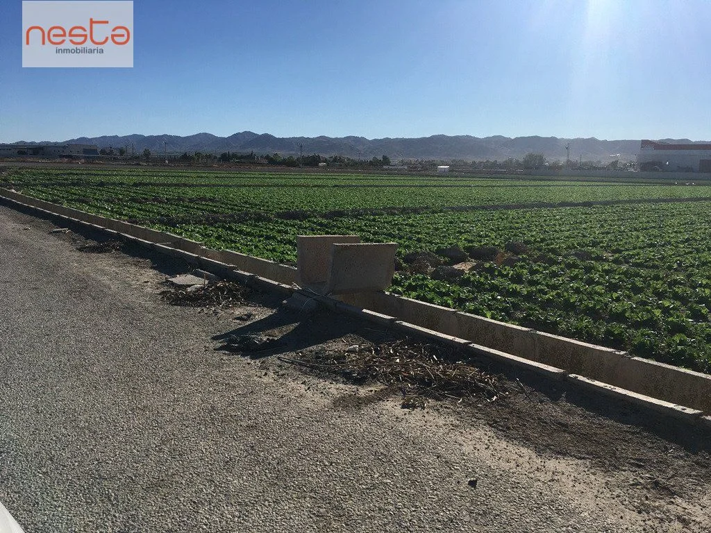 Rural Purias plot with 5,000 m²