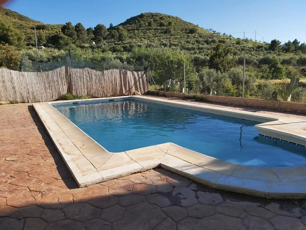 Lorca land with productive olive grove
