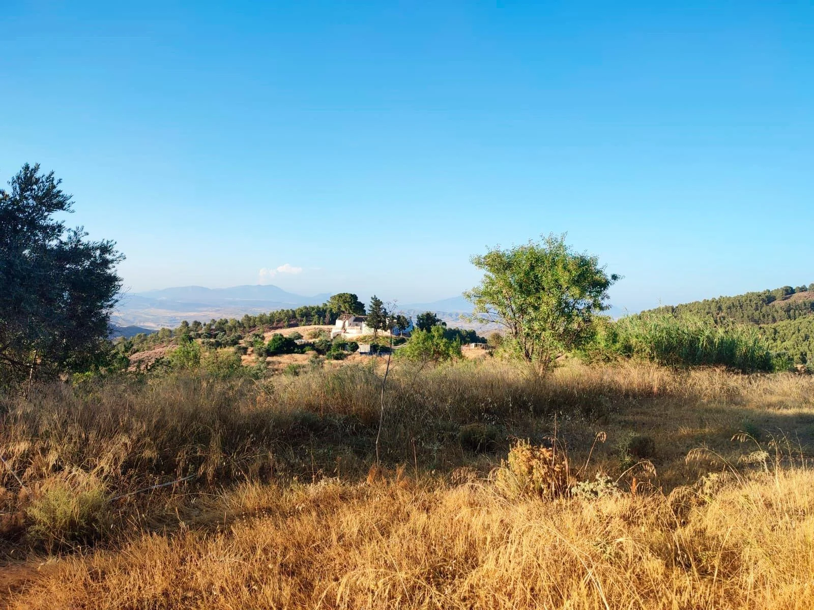 Finca rural de 267 hectáreas con seis viviendas