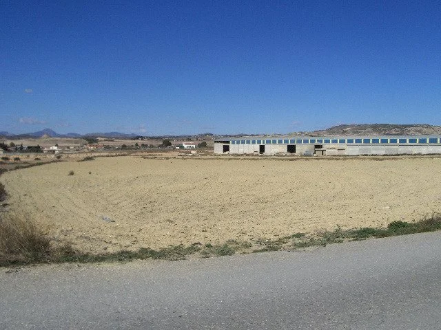 Gran parcela rural cerca de Lorca