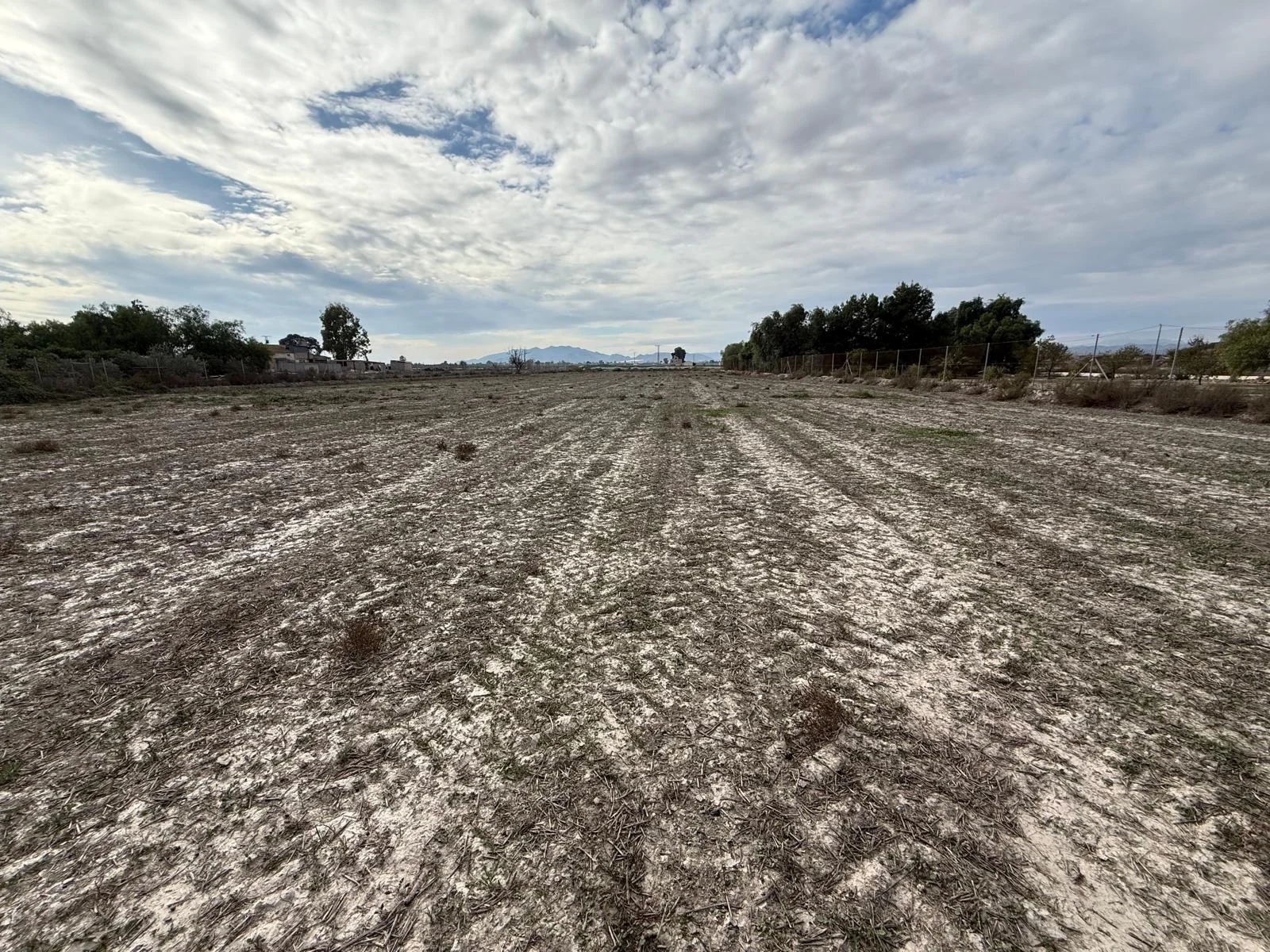 Two rural parcels near Puerto Lumbreras