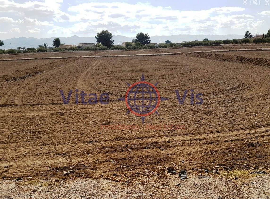 Campillo development plot, 8,300 m²