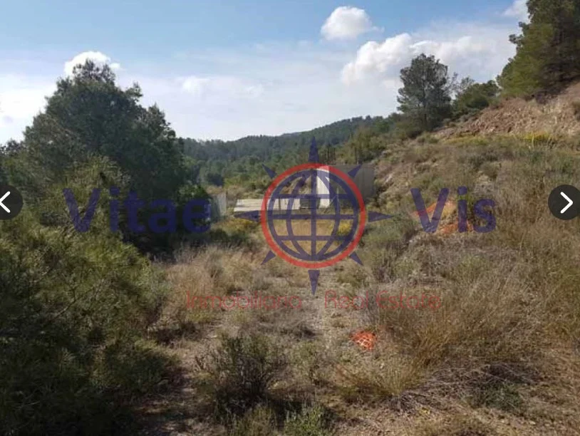Rural Lorca plot with permitted buildability