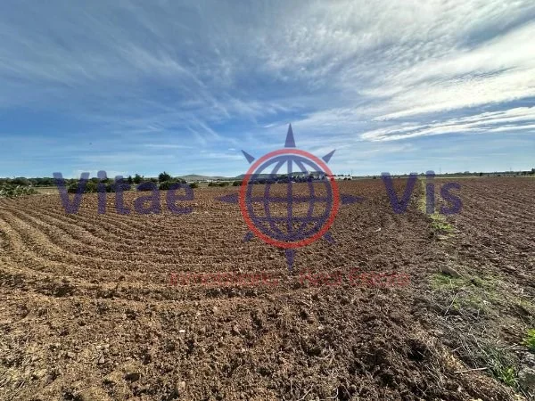 Parcela de 20.000 m² para proyecto avícola