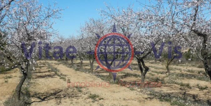 Lorca plot with irrigation water