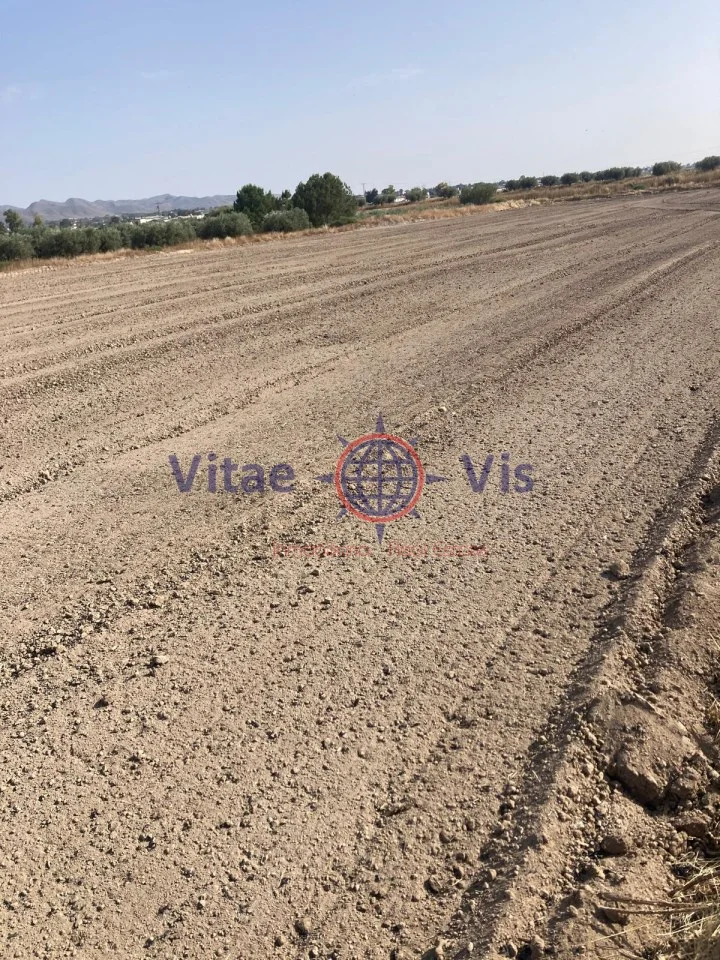 Irrigated land in Cazalla, 11,500 m²