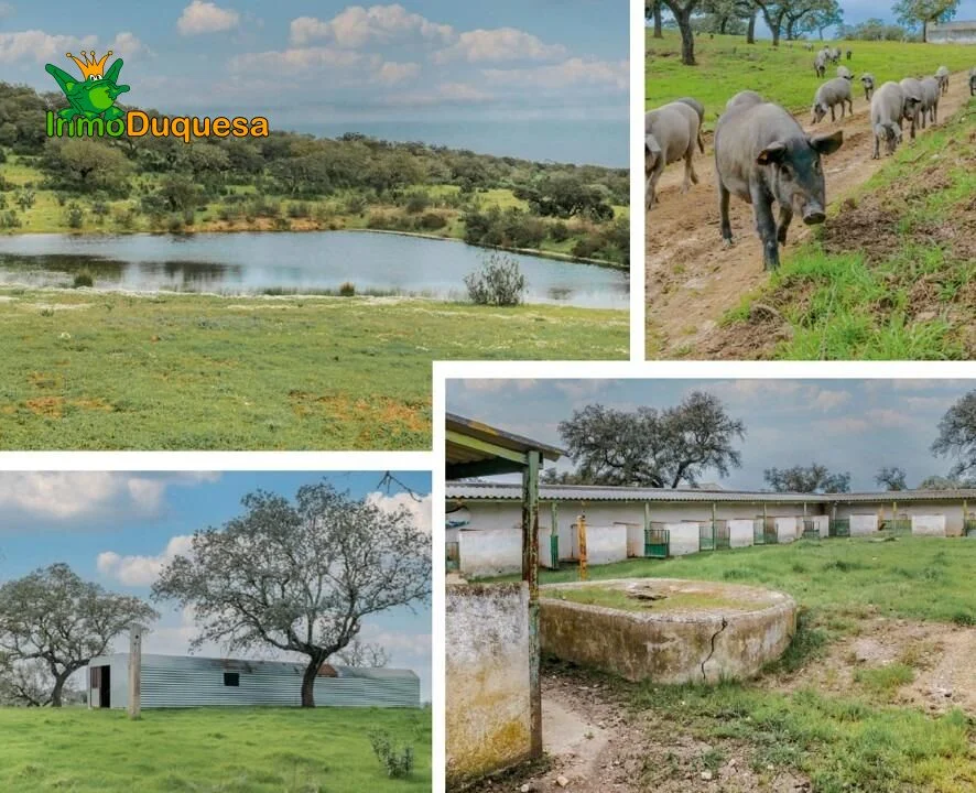 126-hectare rural estate near Paymogo