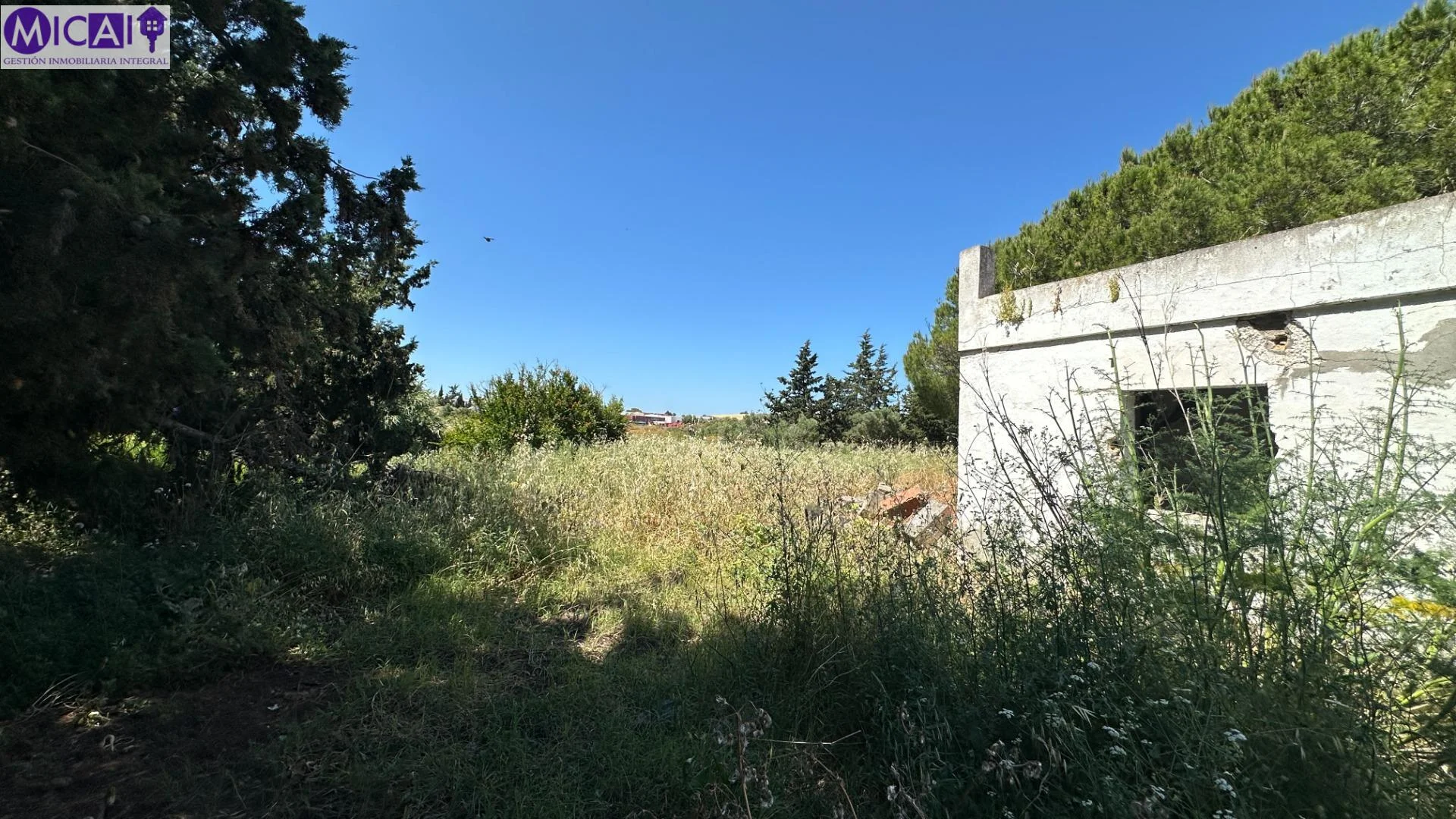 Parcela con chalet y 2.323 m²