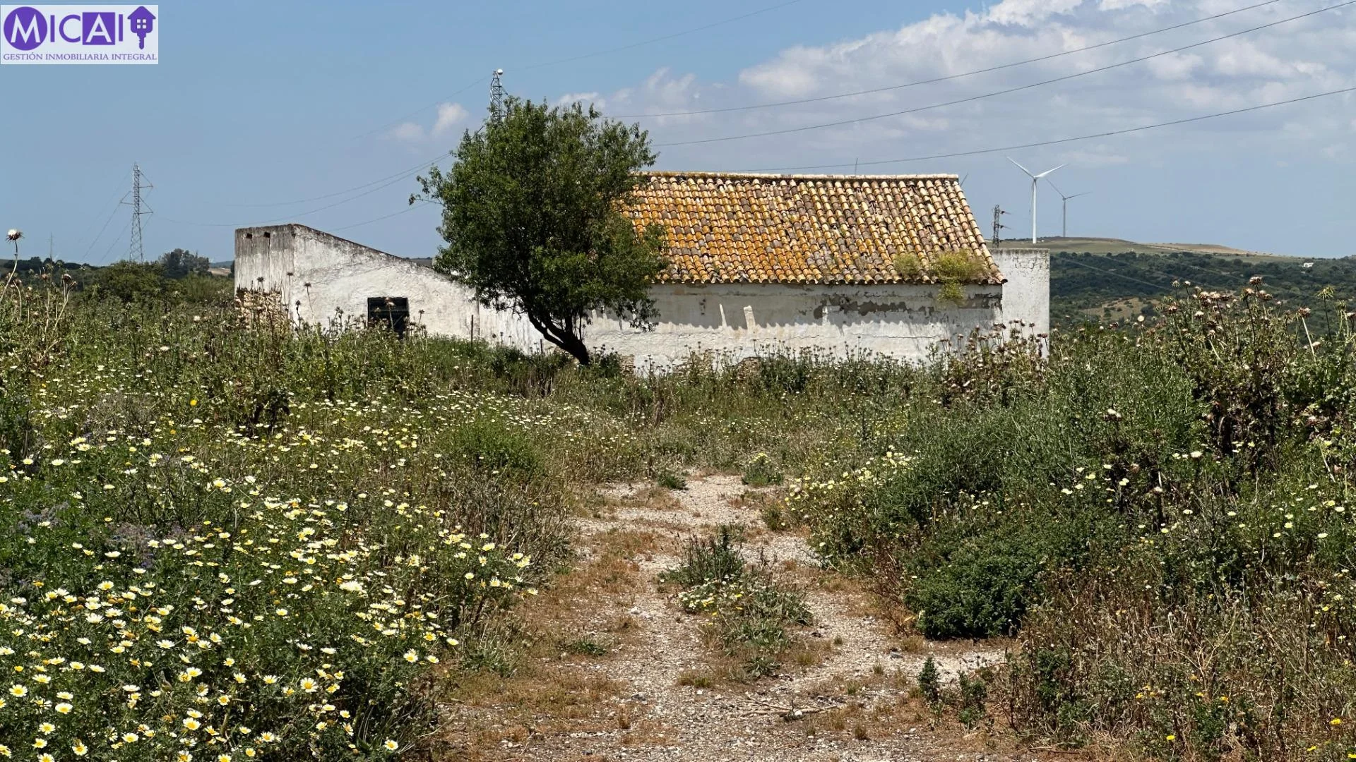 Finca rural de 3 hectáreas con construcciones