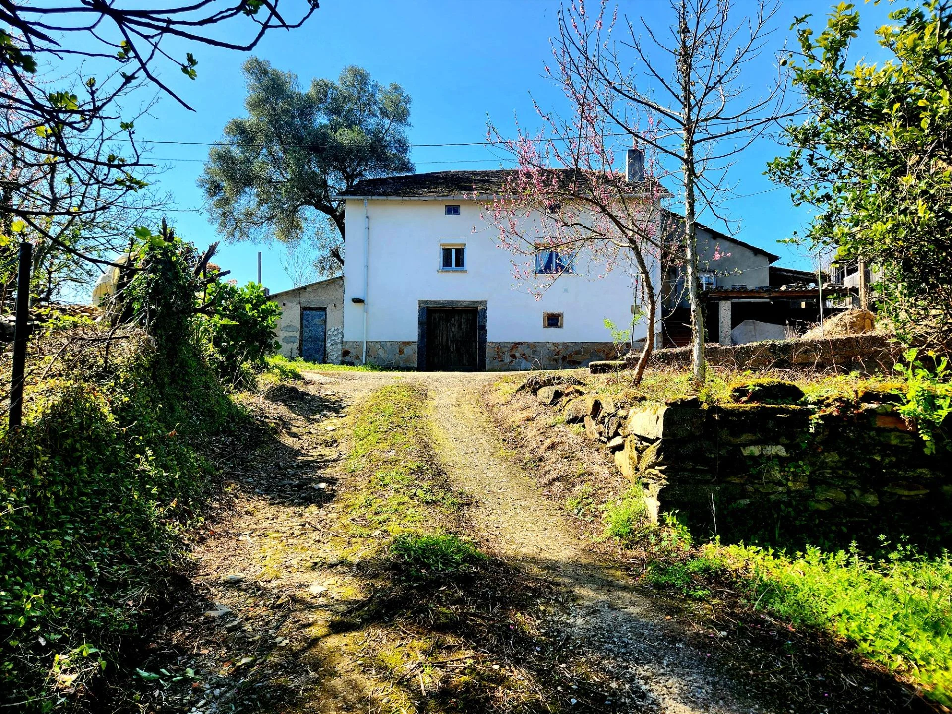 Rural Asturian house with 70,000 m²