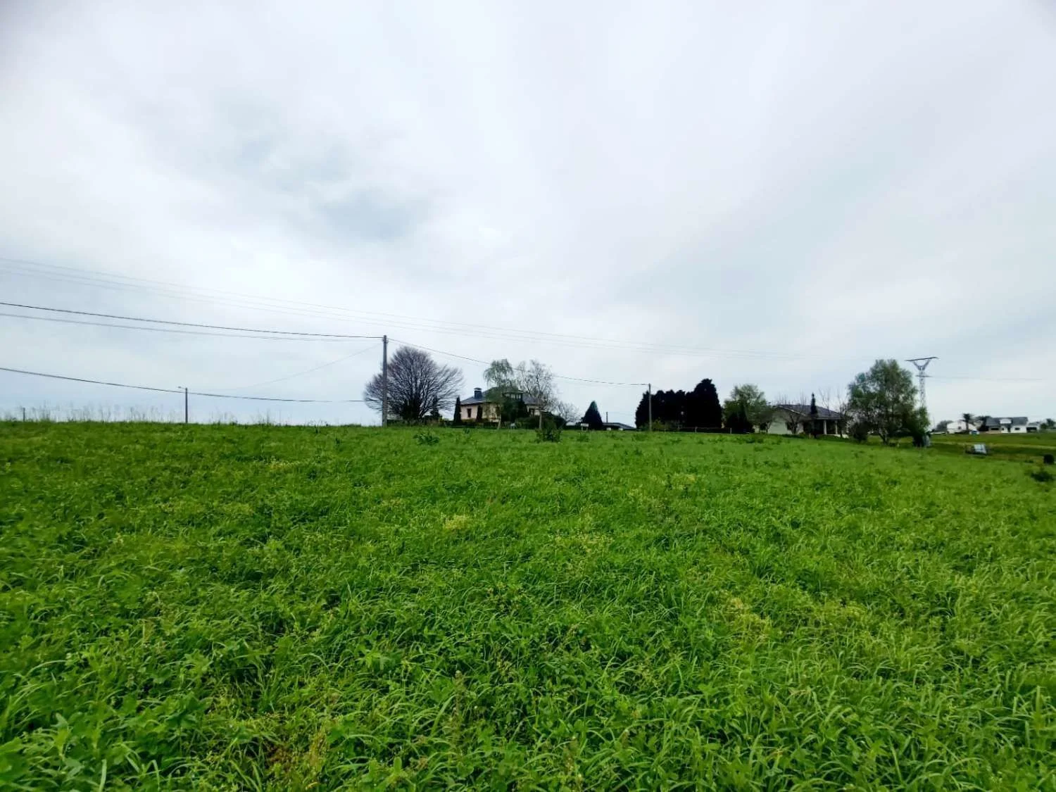 Terreno urbanizable cerca de Luarca, 6.100 m²