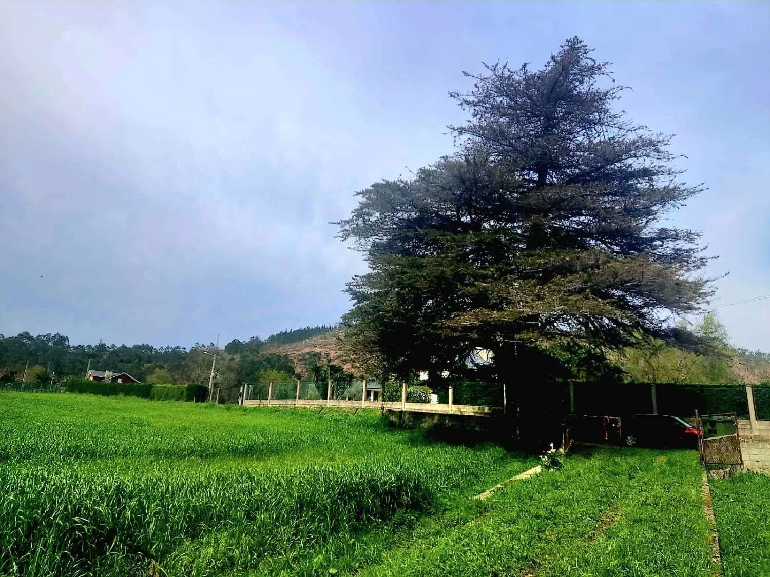 Developable Otur plot near beach