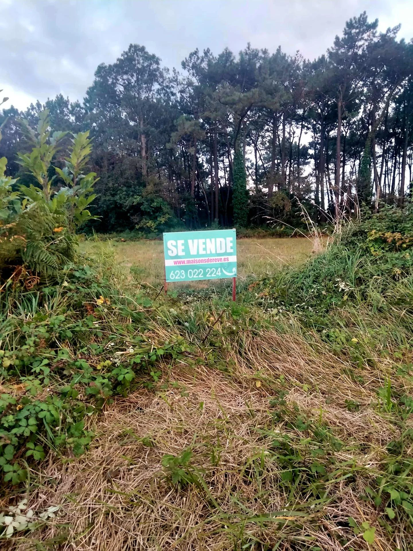 Developable coastal plot, 6,100 m²