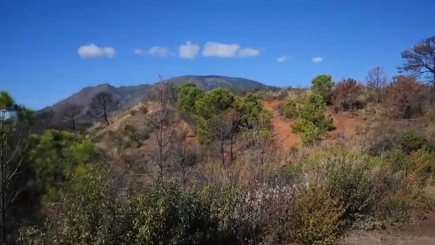 Suelo urbanizable en Estepona, 172.000 m²