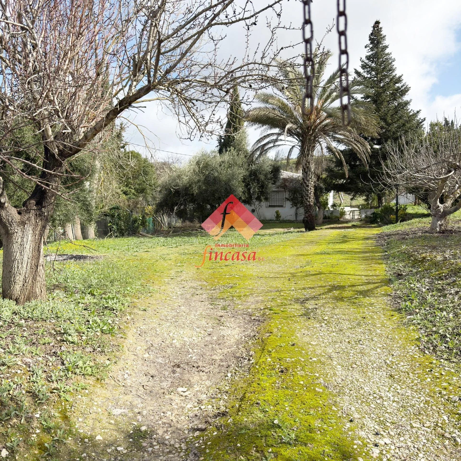 Renovation country house near Ronda