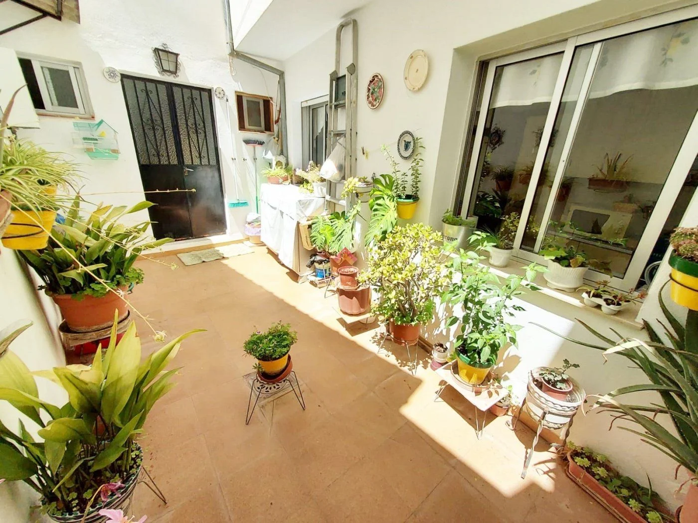 South-facing Centro house with patio