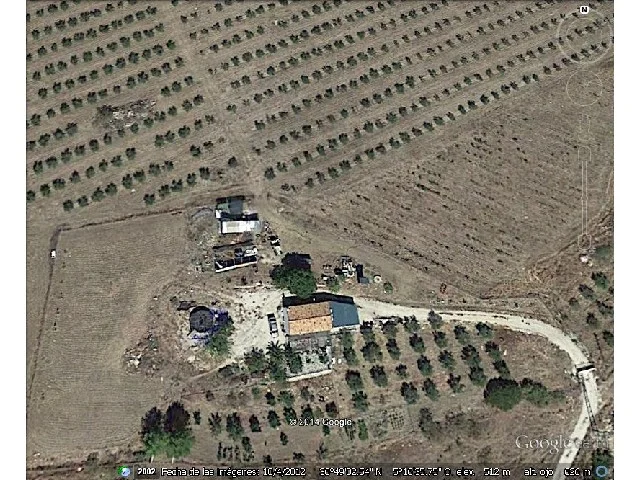 Finca rústica con producción olivarera