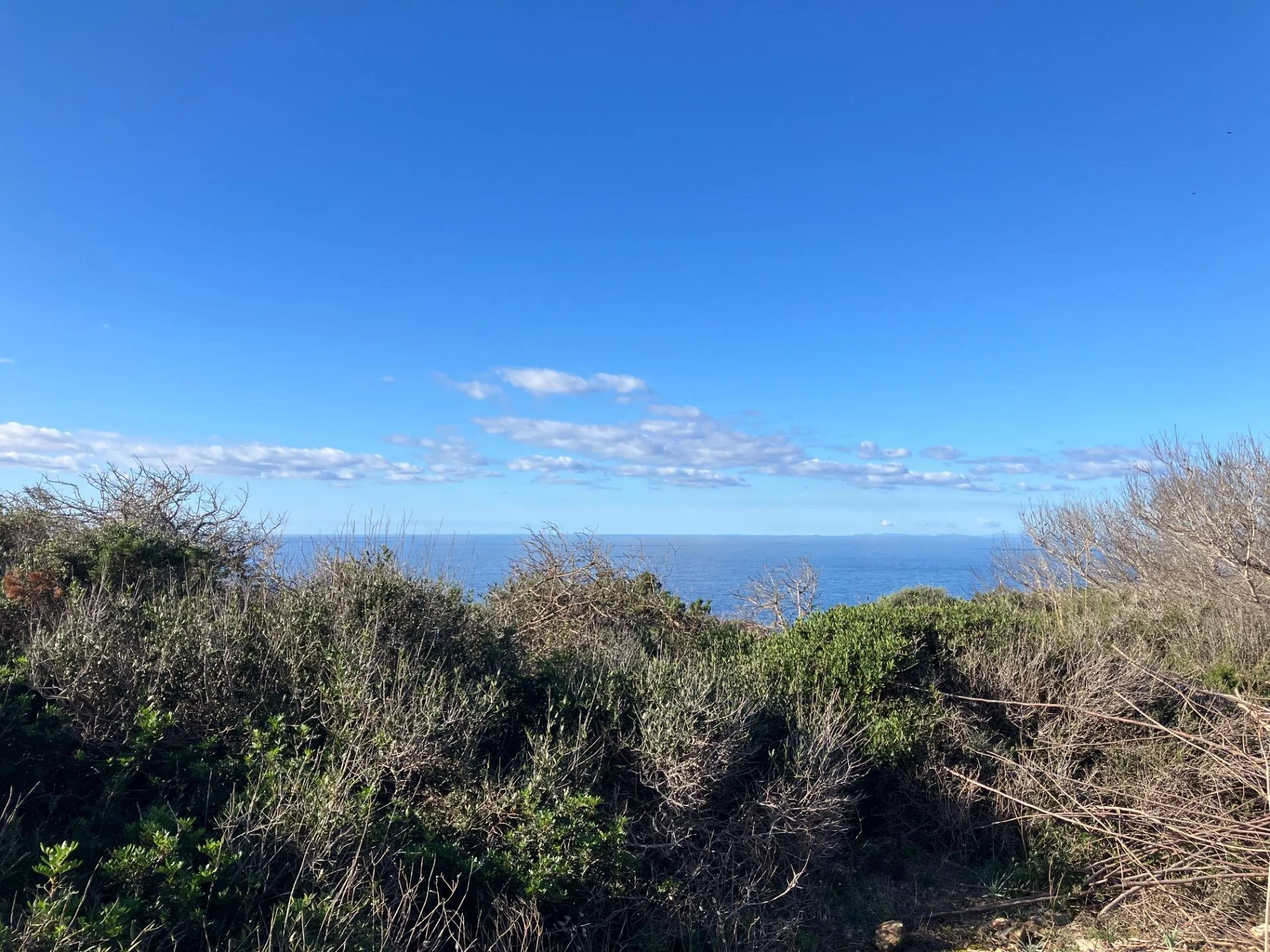 Parcela urbana de 806 m² en Cala en Porter