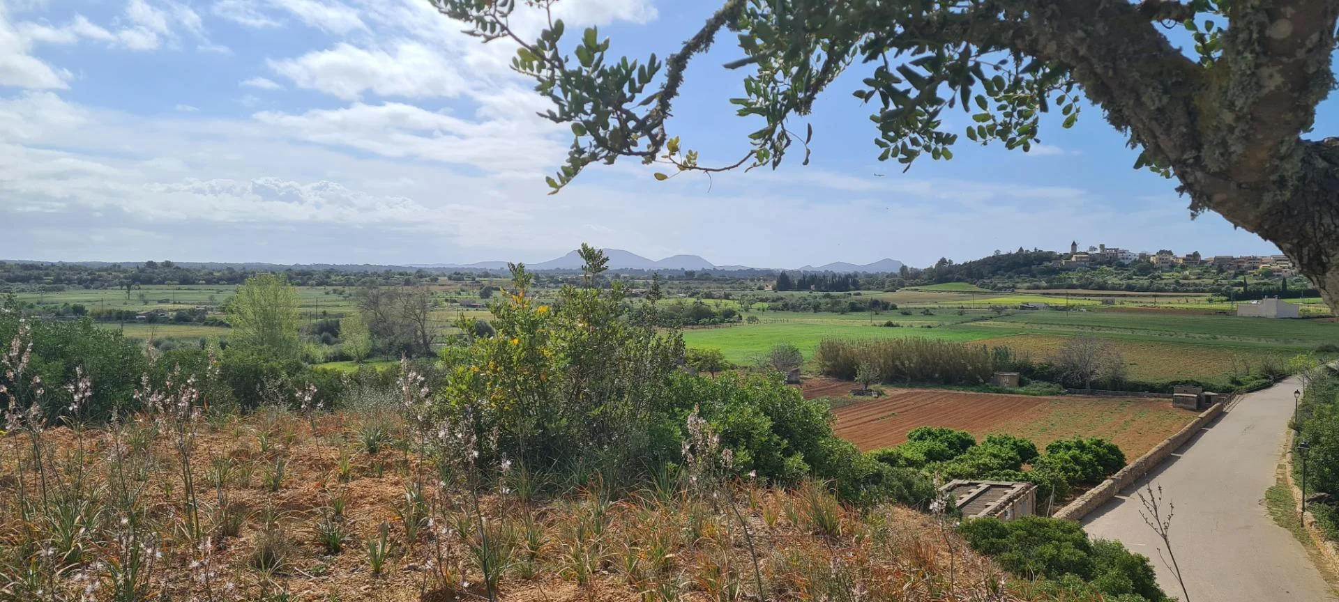 Urban plot, Santa Eugènia, 1,335m² buildable