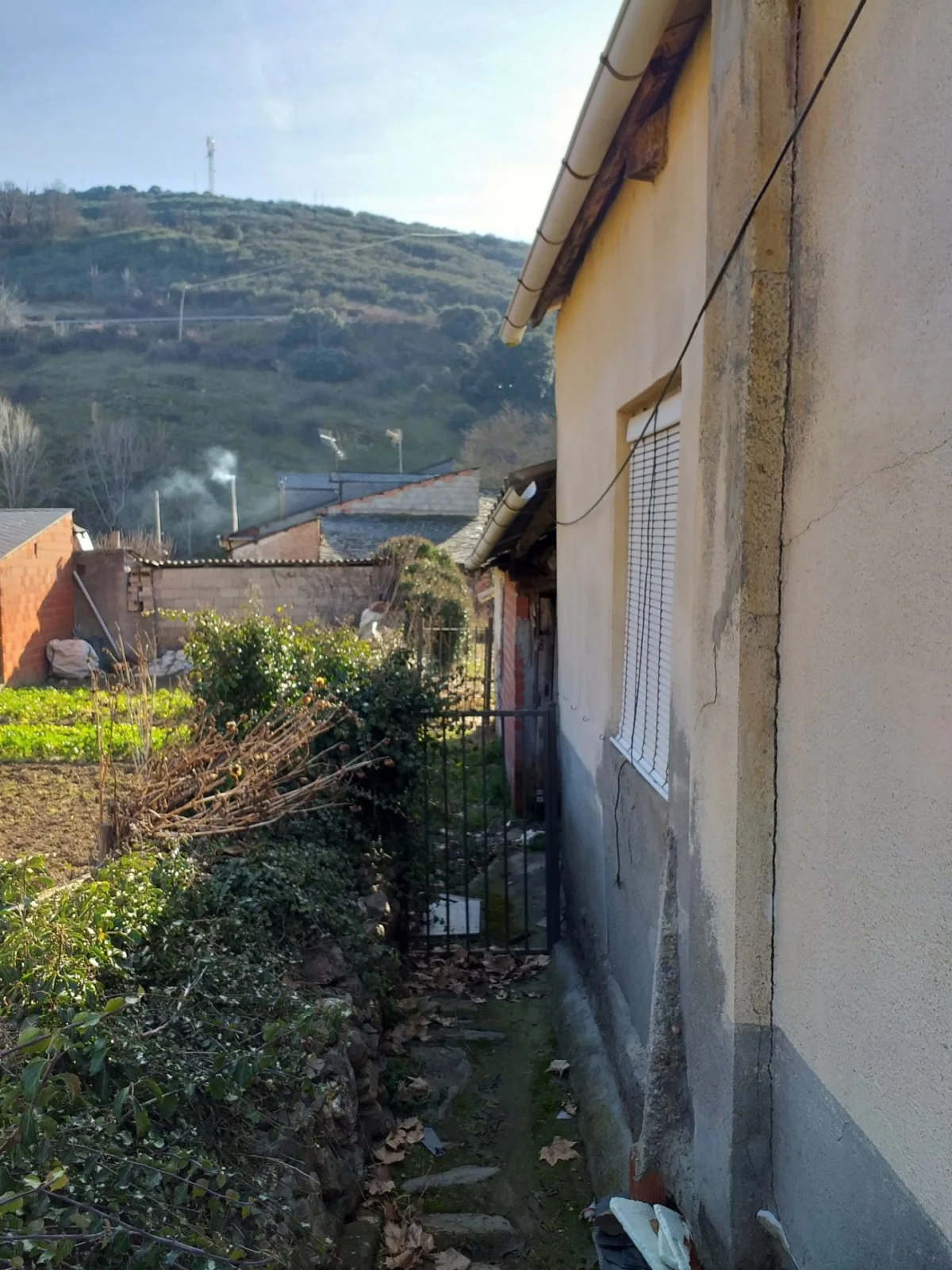 Renovation house with 300 m² plot