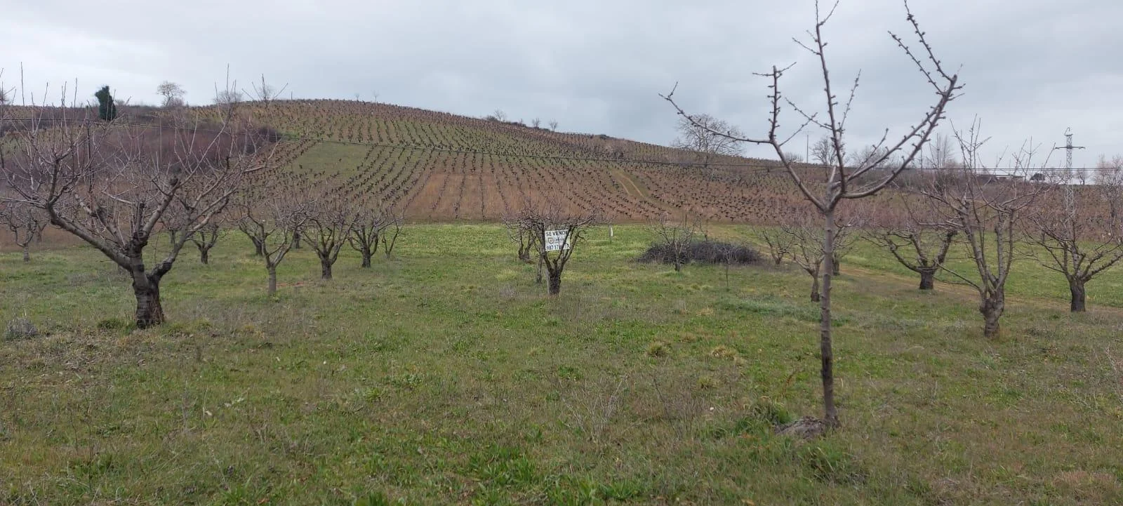 Parcela rústica de 4.000 m² cerca de Ponferrada