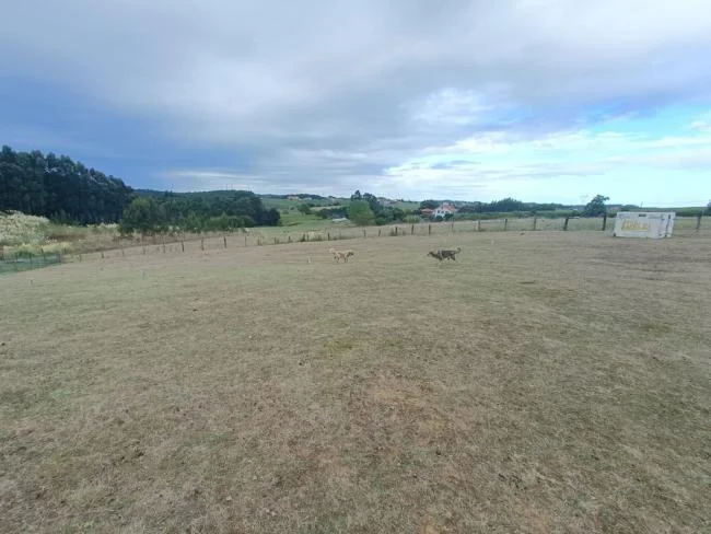Finca rústica costera en Gozón