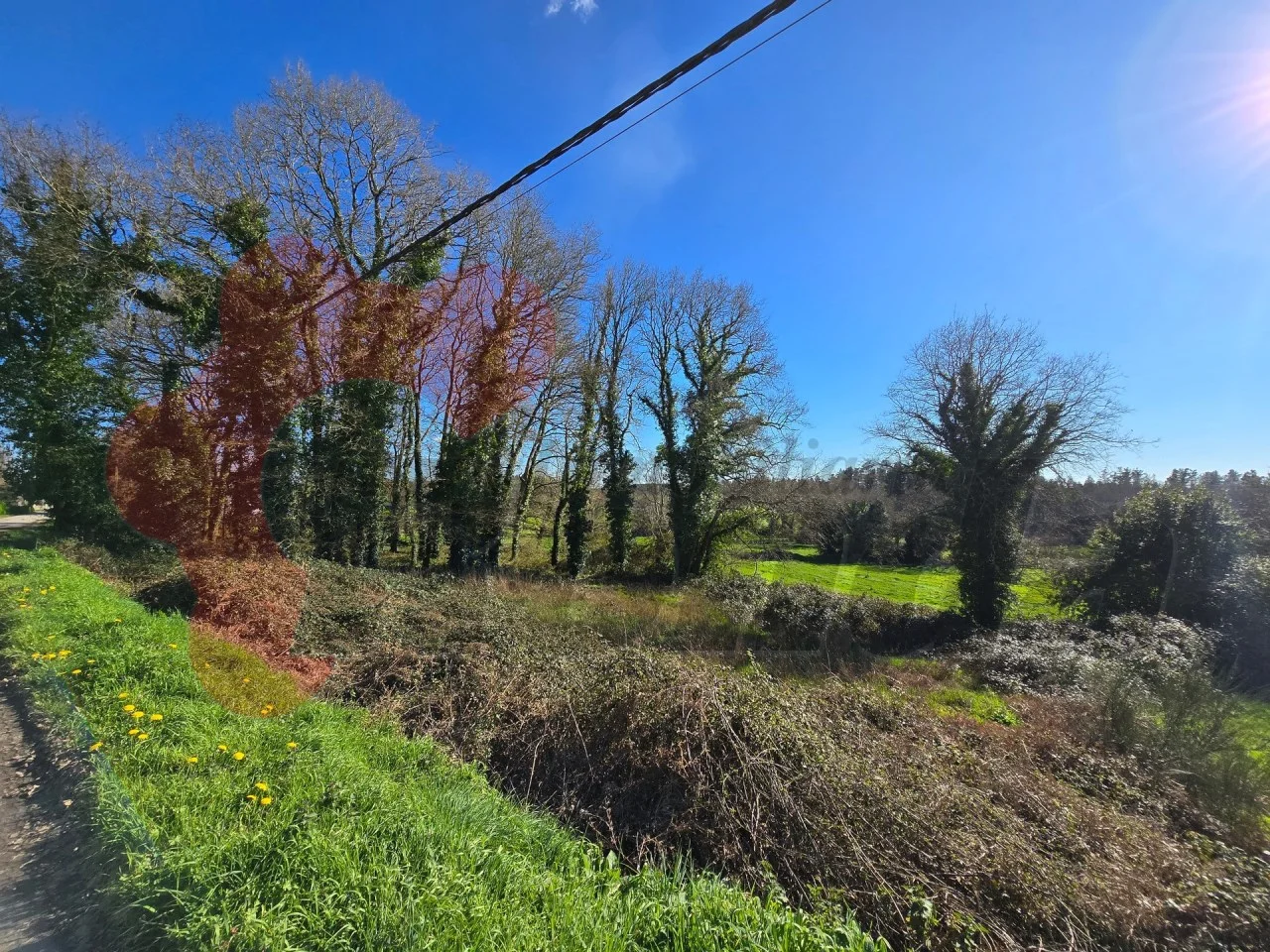 Developable Lugo plot, 1,600 m²