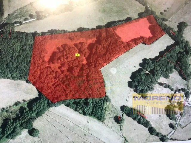 Gran parcela rural en ruta jacobea