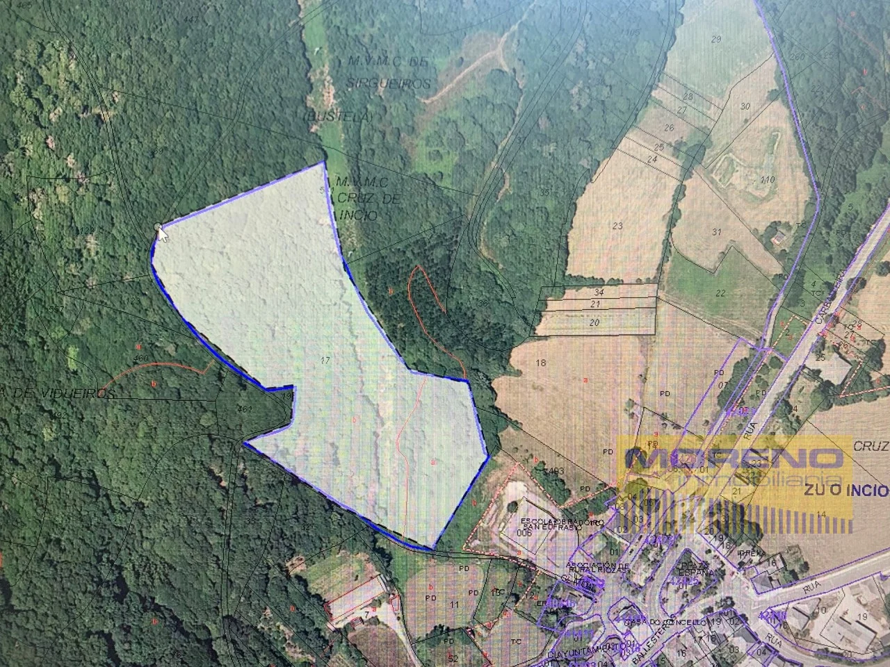 Woodland finca with 32,000 m²
