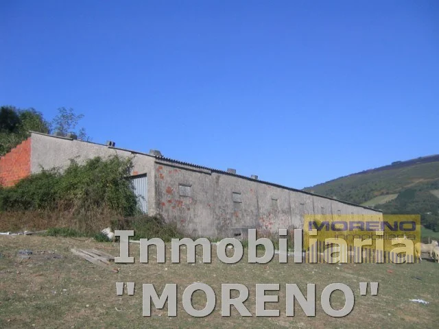 Granja porcina con dos naves industriales