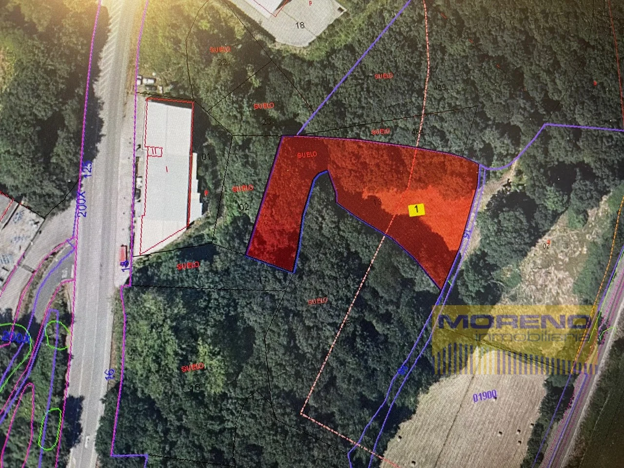 Urban land with oak grove