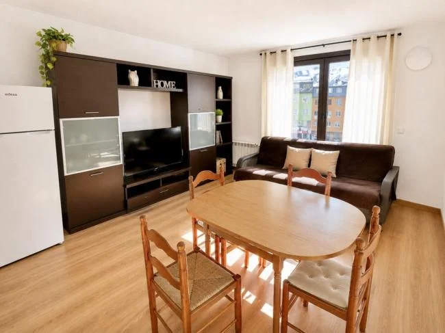 Rented ski-area studio, 42 m²
