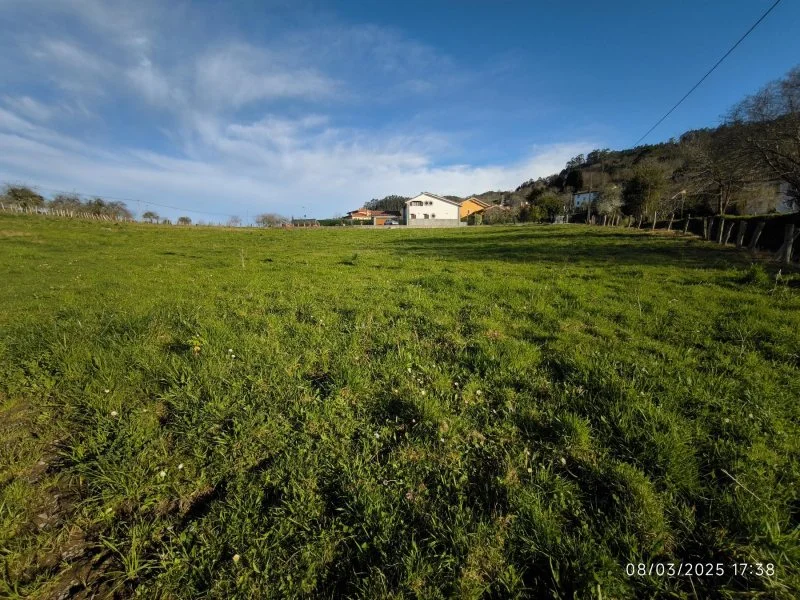 Urban plot in Lugas, 1,500 m²