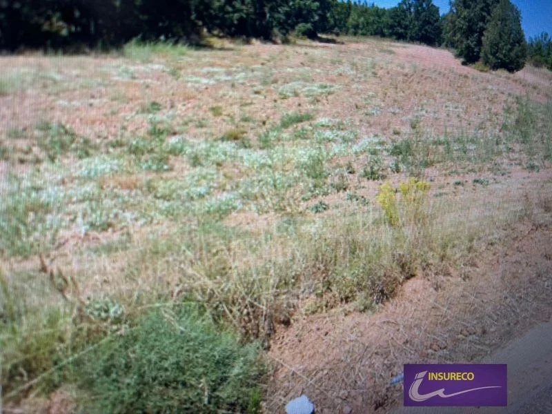 Rural plot near León, flexible uses