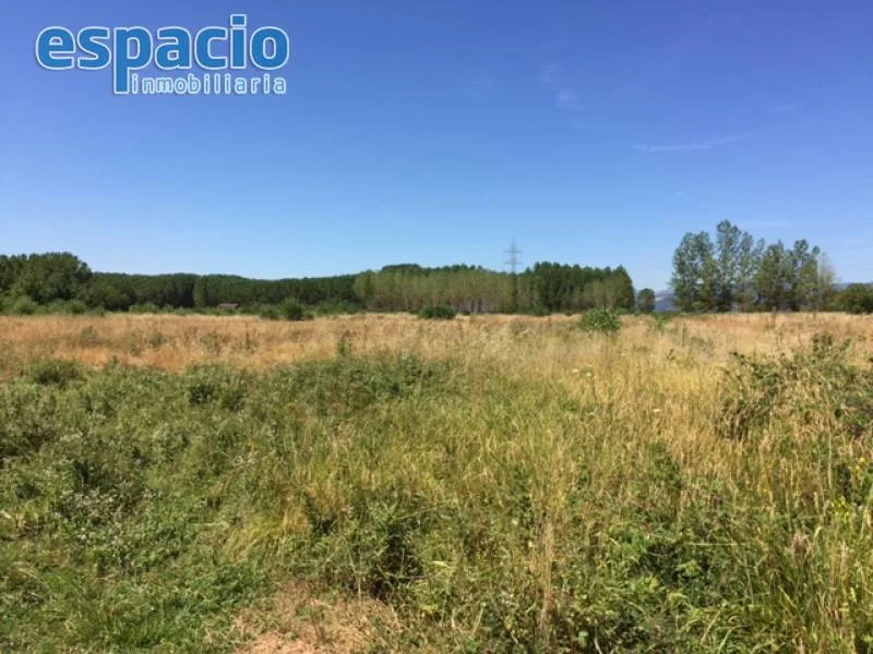 Irrigated rural plot in Dehesas