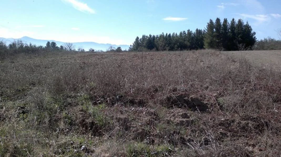 Urban plot in Bárcena, 3200 m²