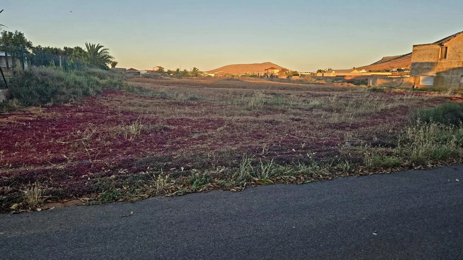 Terreno edificable llano en Tetir, 2.500 m²