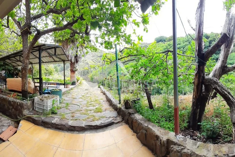 Country house with 2,316 m² land