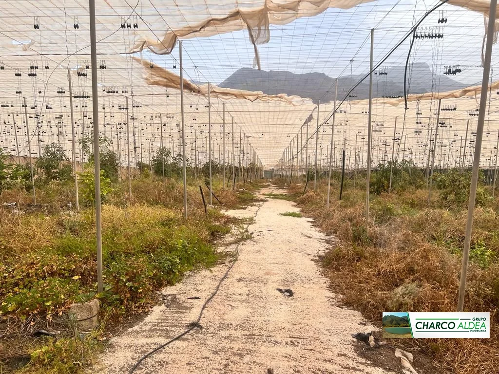Rural farm with greenhouse and water rights