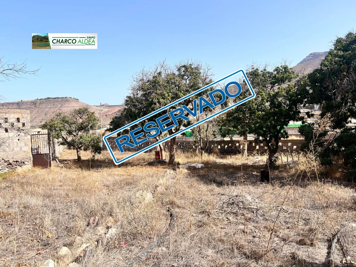 Parcela agrícola junto al Molino de Agua