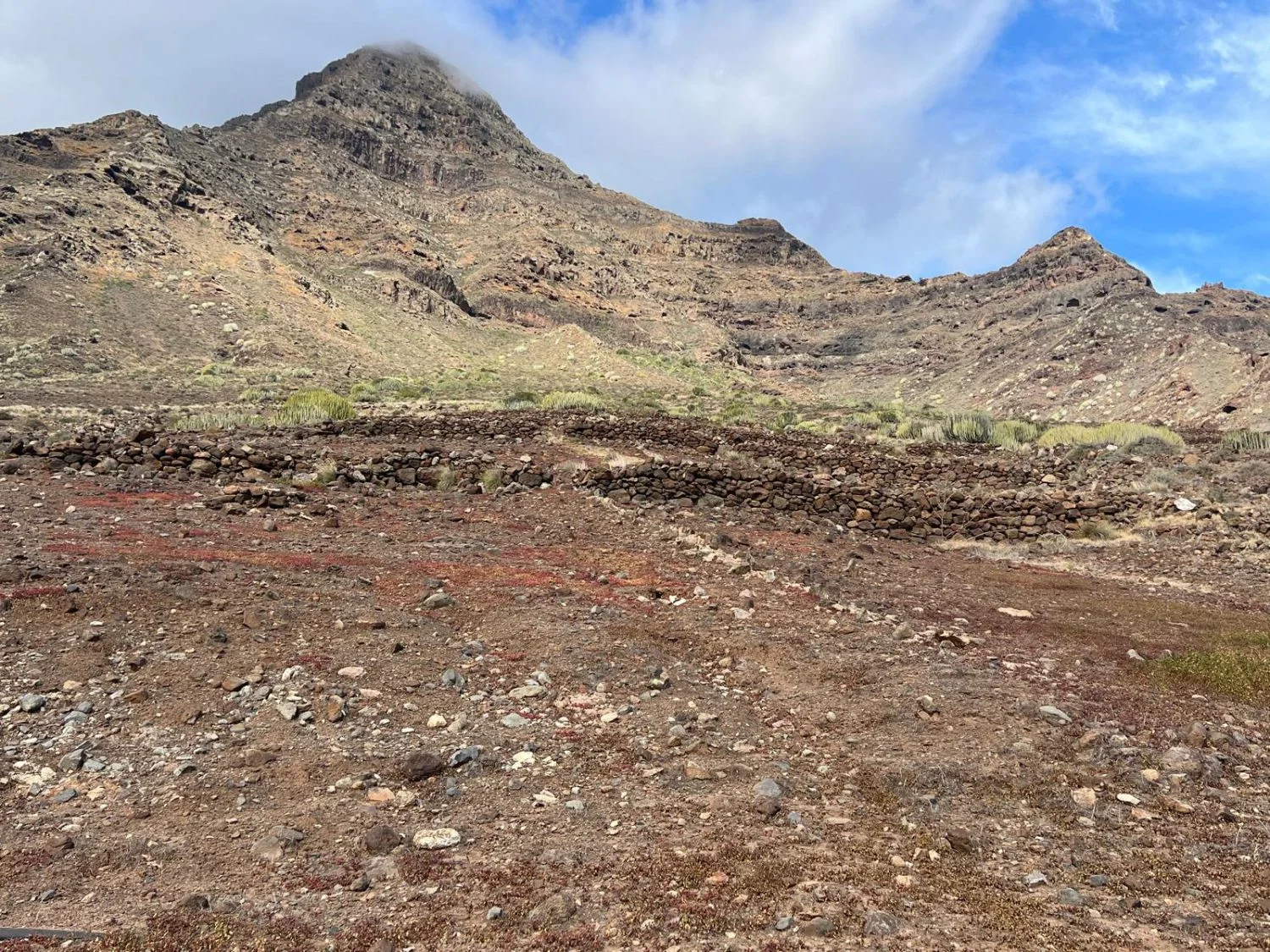 Terreno rústico de 8.000 m² en La Aldea