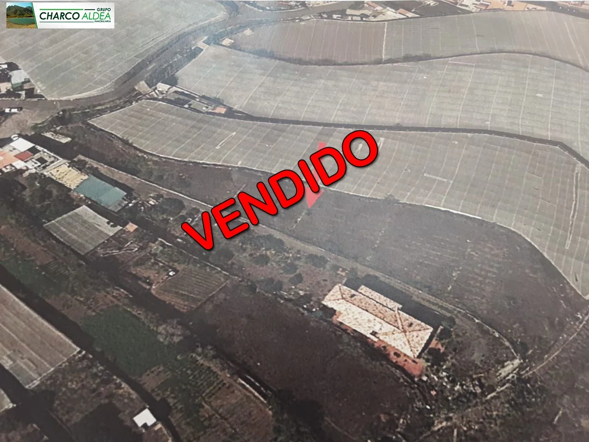 Terreno rústico con amplios derechos de agua