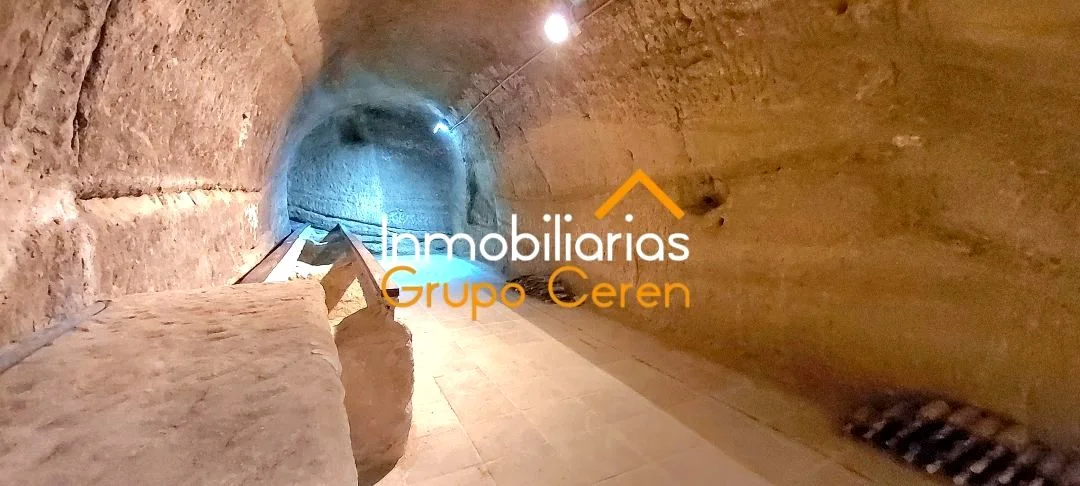 Rehabilitated winery with traditional cellars